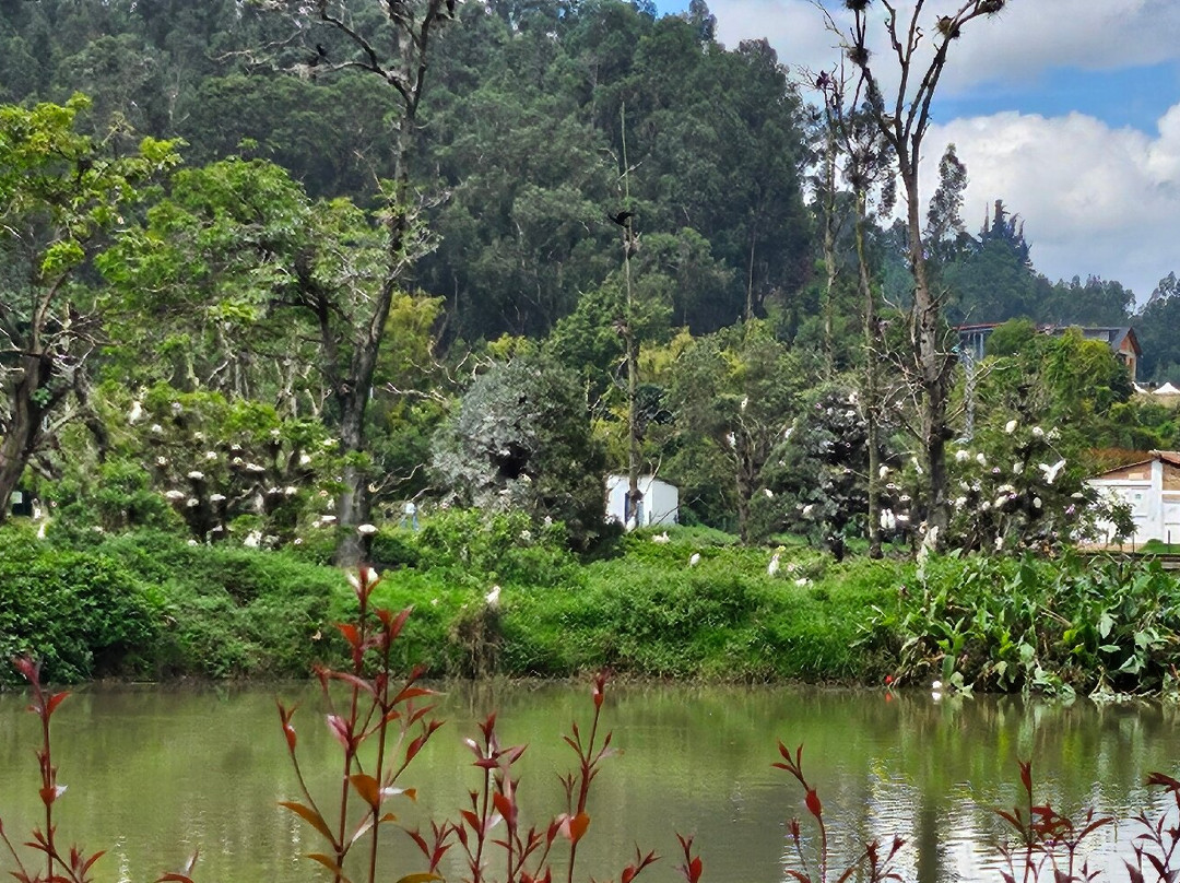 Parque Ecoturistico Puente Sopo景点图片