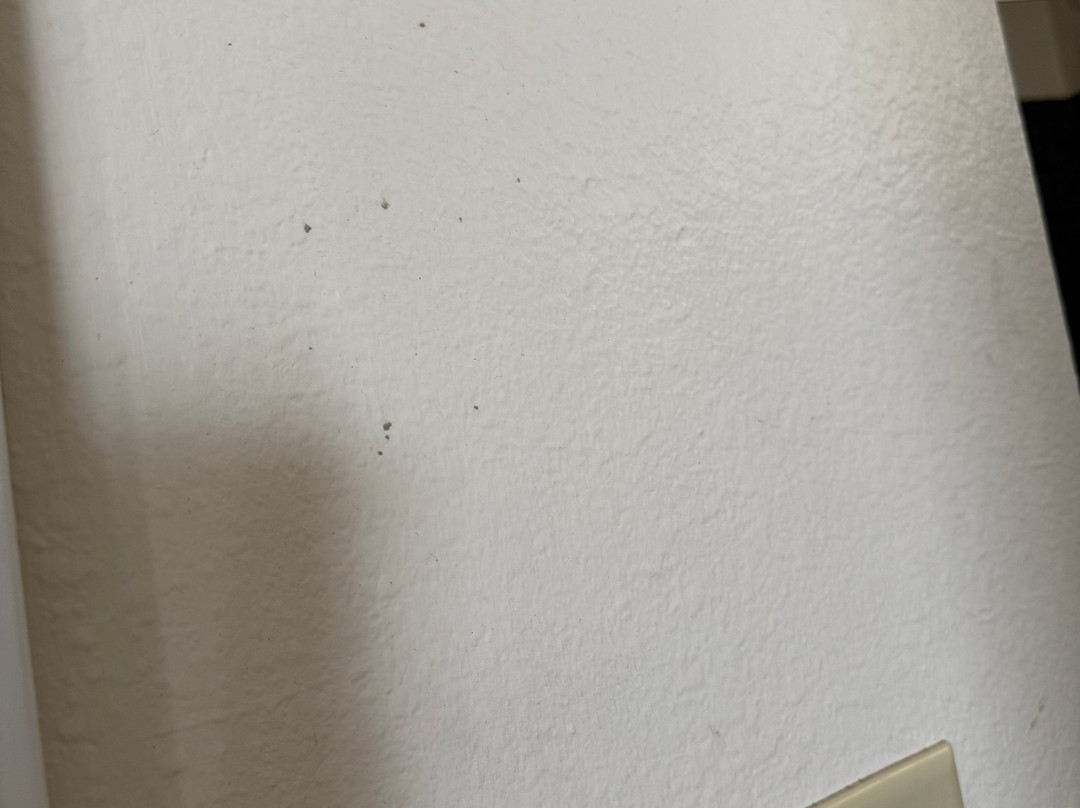 新伊比利亚烛木套房酒店主图