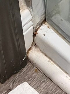 Fountain Park Hotel, BW Signature Collection主图