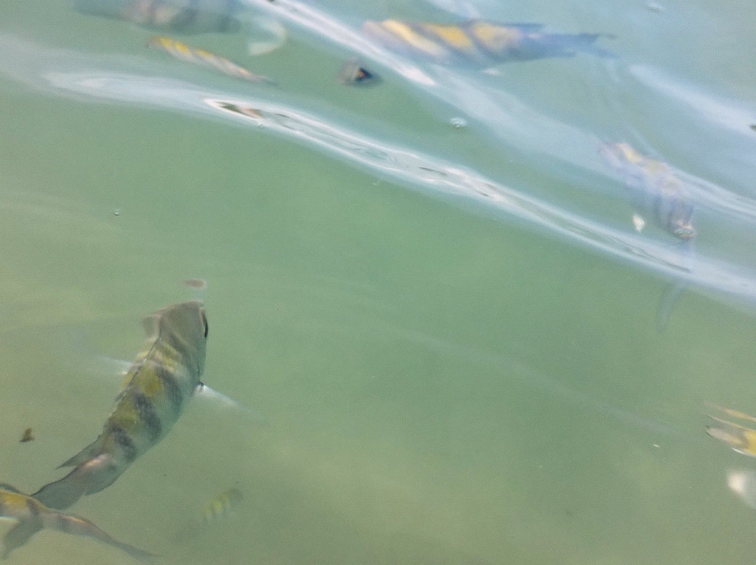 Paripueira Beach-Paripueira必去景点