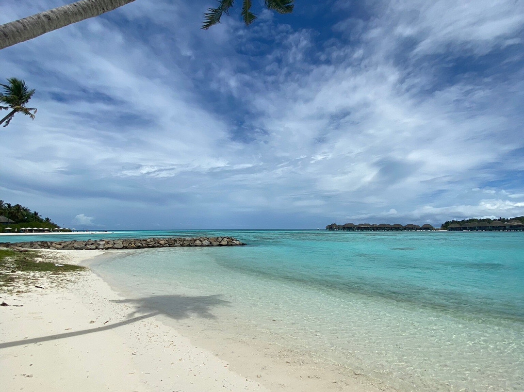 The Bilimbi Guesthouse & Inn主图