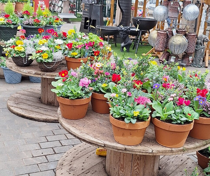 Walker's Nurseries and Garden Centre-Blaxton必去景点