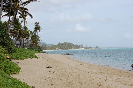 琪琪的天堂主图