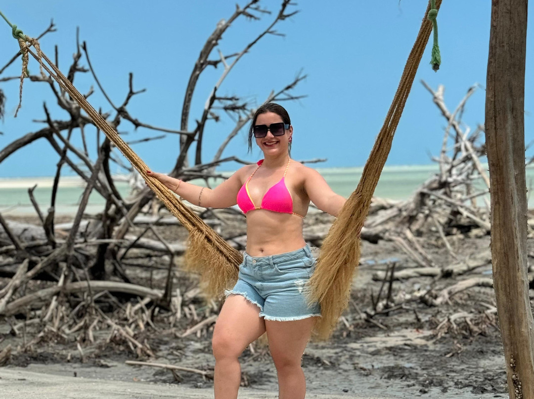 Top Turismo Jeri-杰里科科拉必去景点