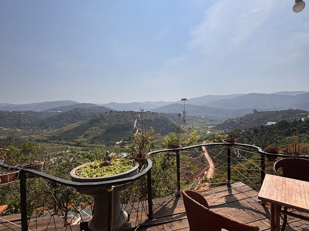 Midori Coffee Farm-Me Linh必去景点