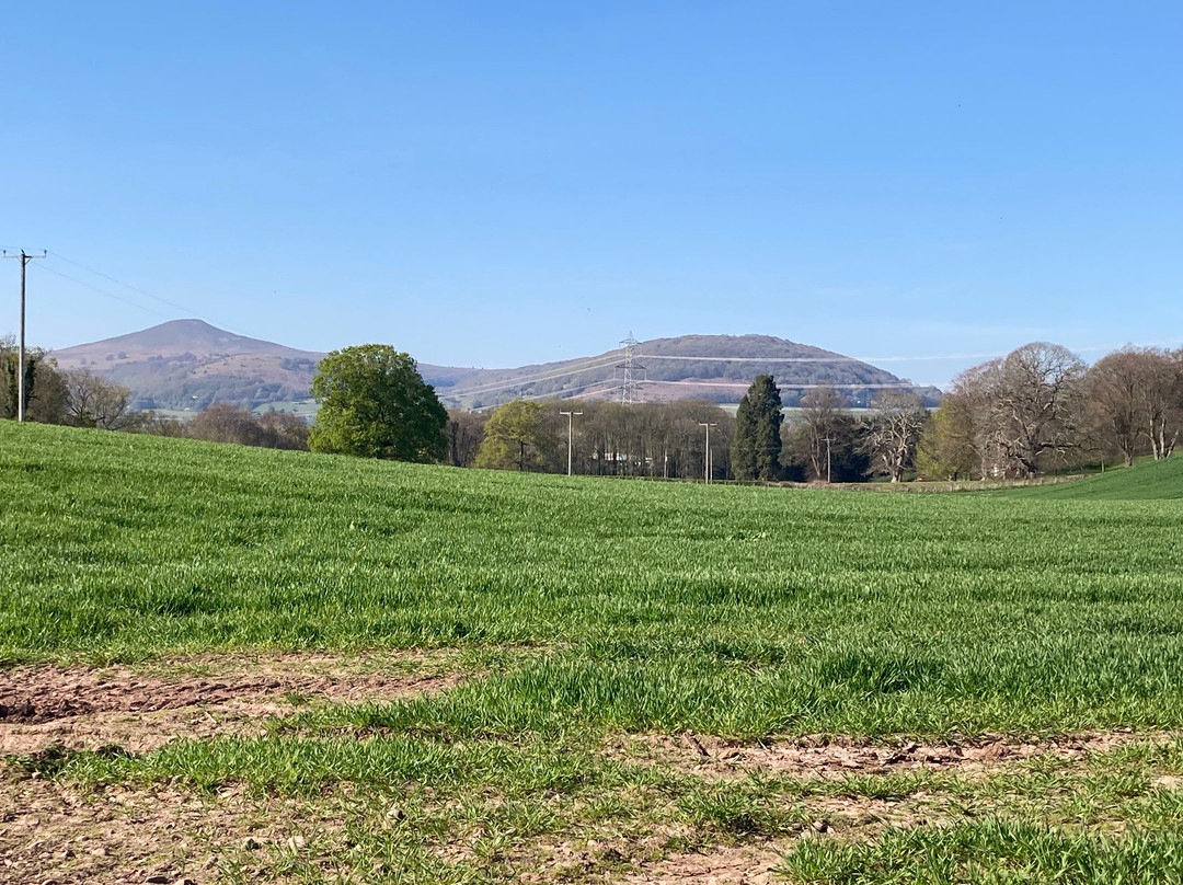 Hardwick Farm Bed & Breakfast主图