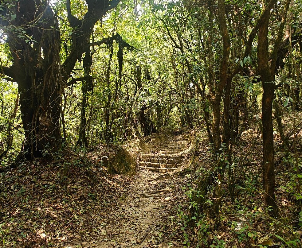 Shivapuri Nagarjun National Park景点图片