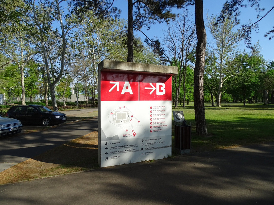 Nagyerdei Stadium景点图片
