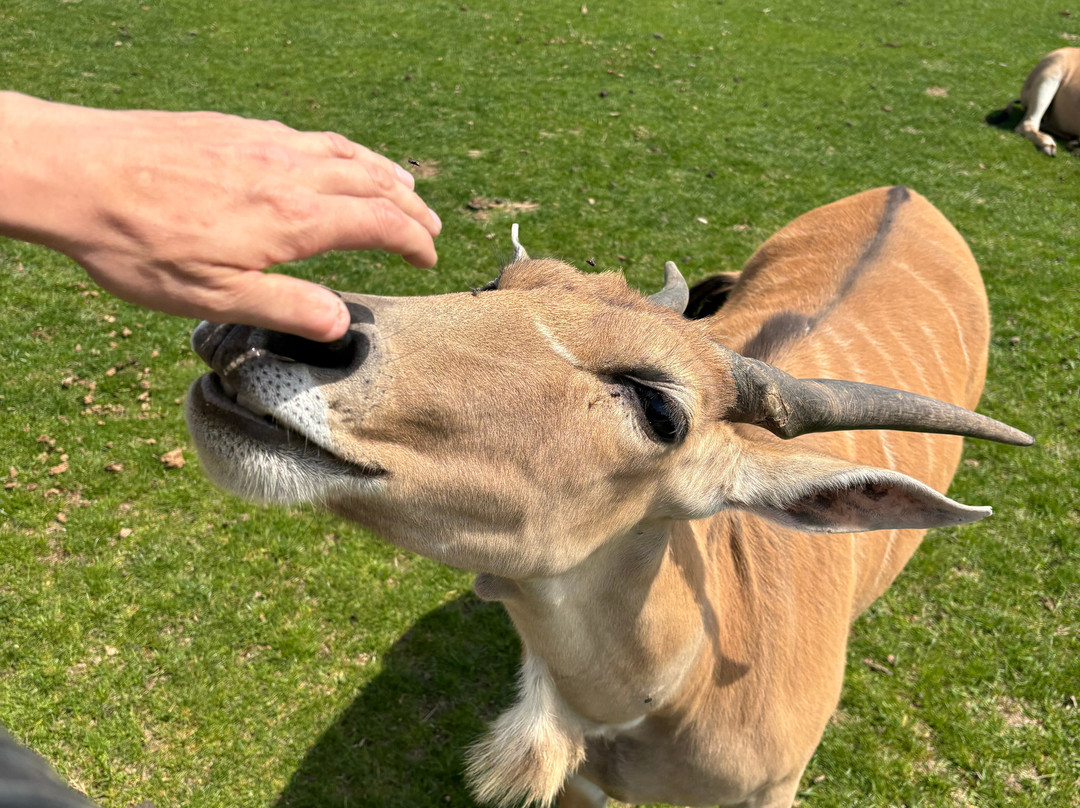 Lake Tobias Wildlife Park景点图片