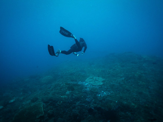 Fluid Focus Retreats-蓝梦岛必去景点