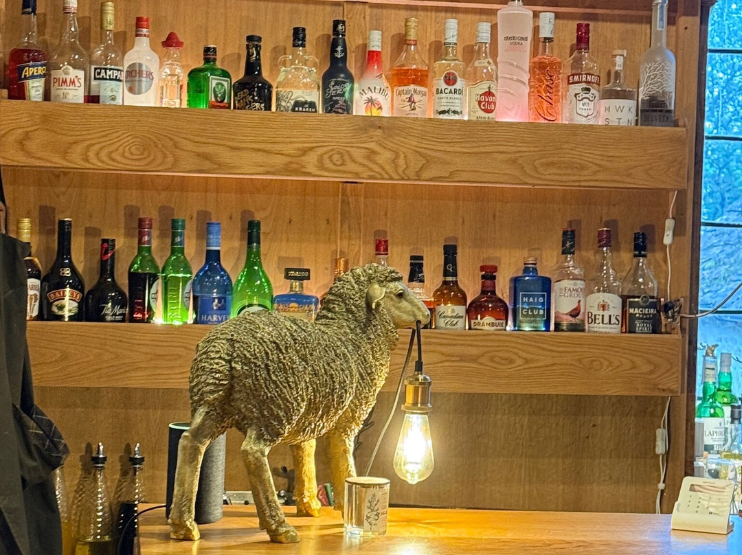 Bodkin House Hotel主图