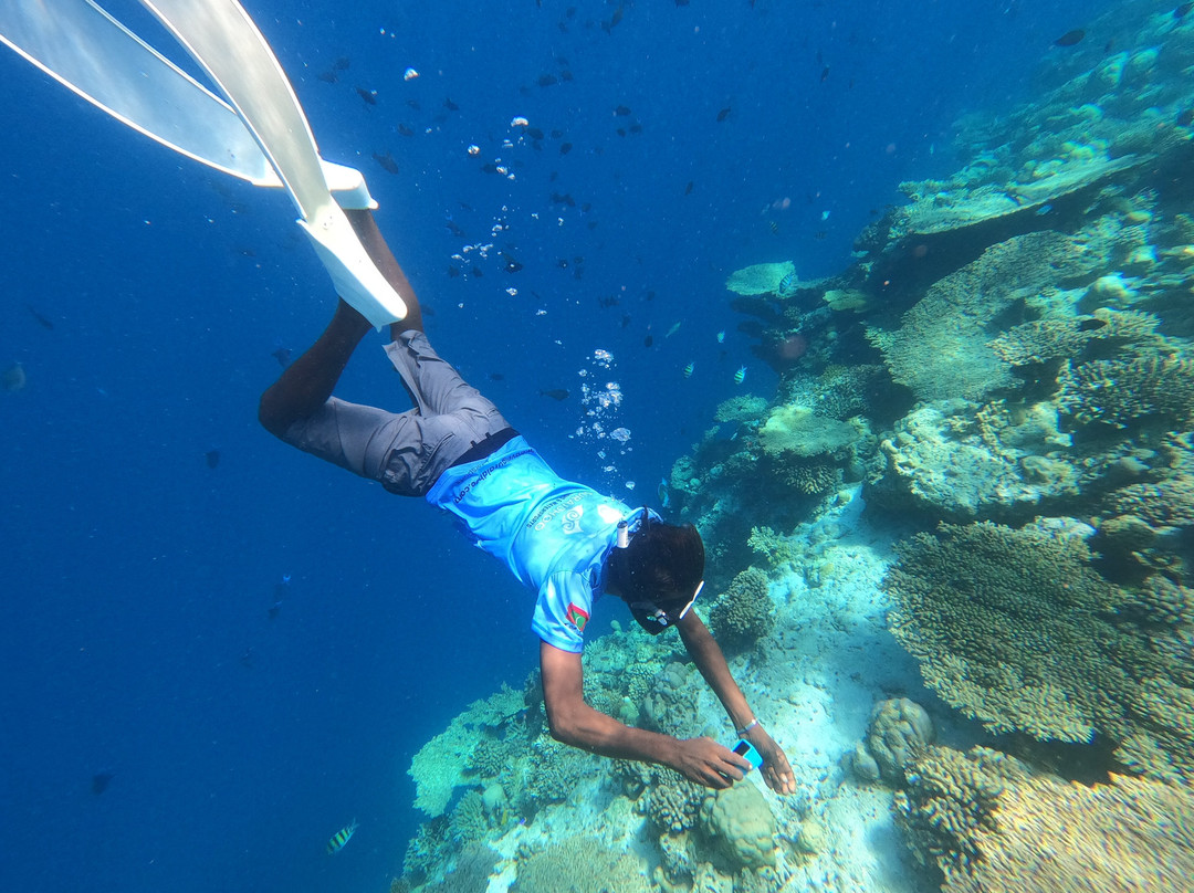 Guraidhoo Excursions & Water Sports景点图片