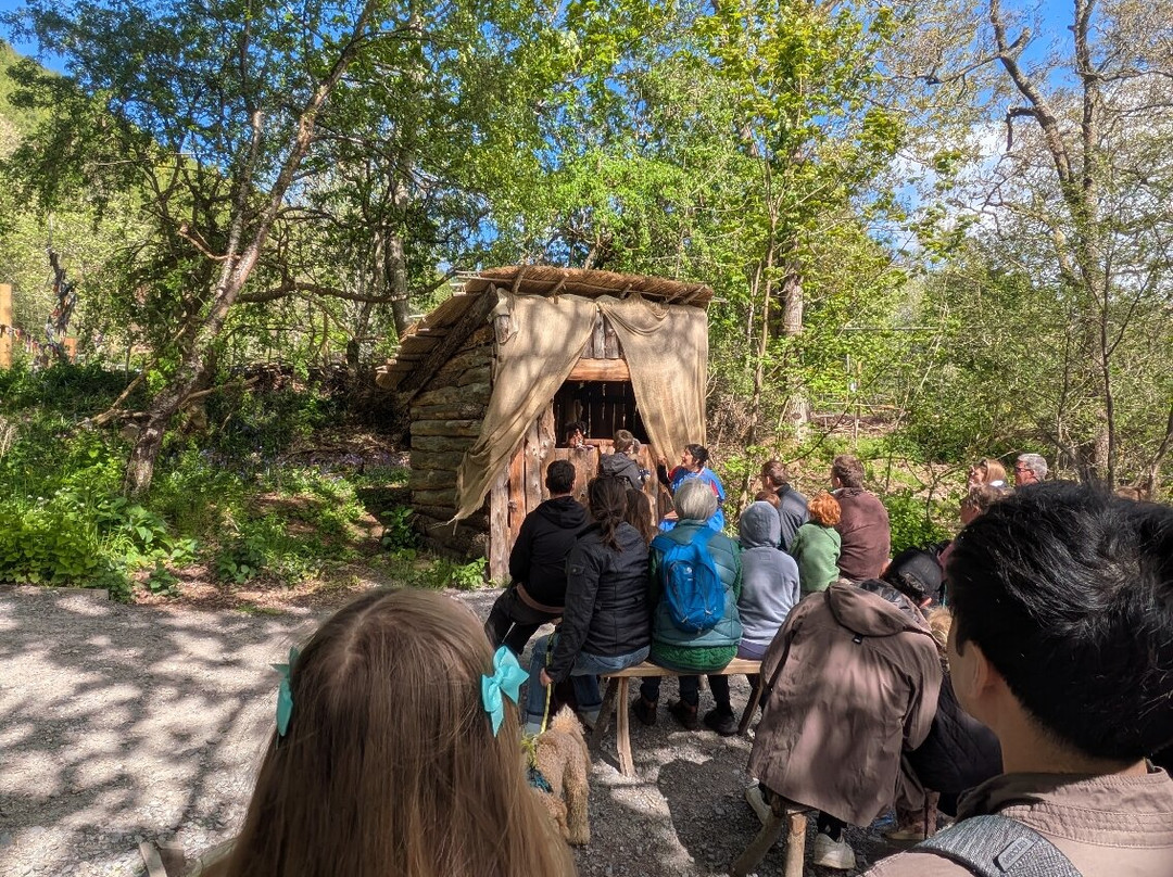 The Scottish Crannog Centre景点图片
