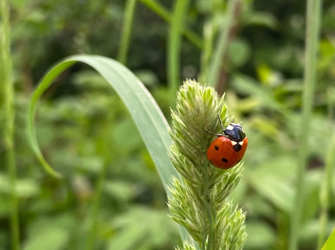 Casa Rural Tomaso主图