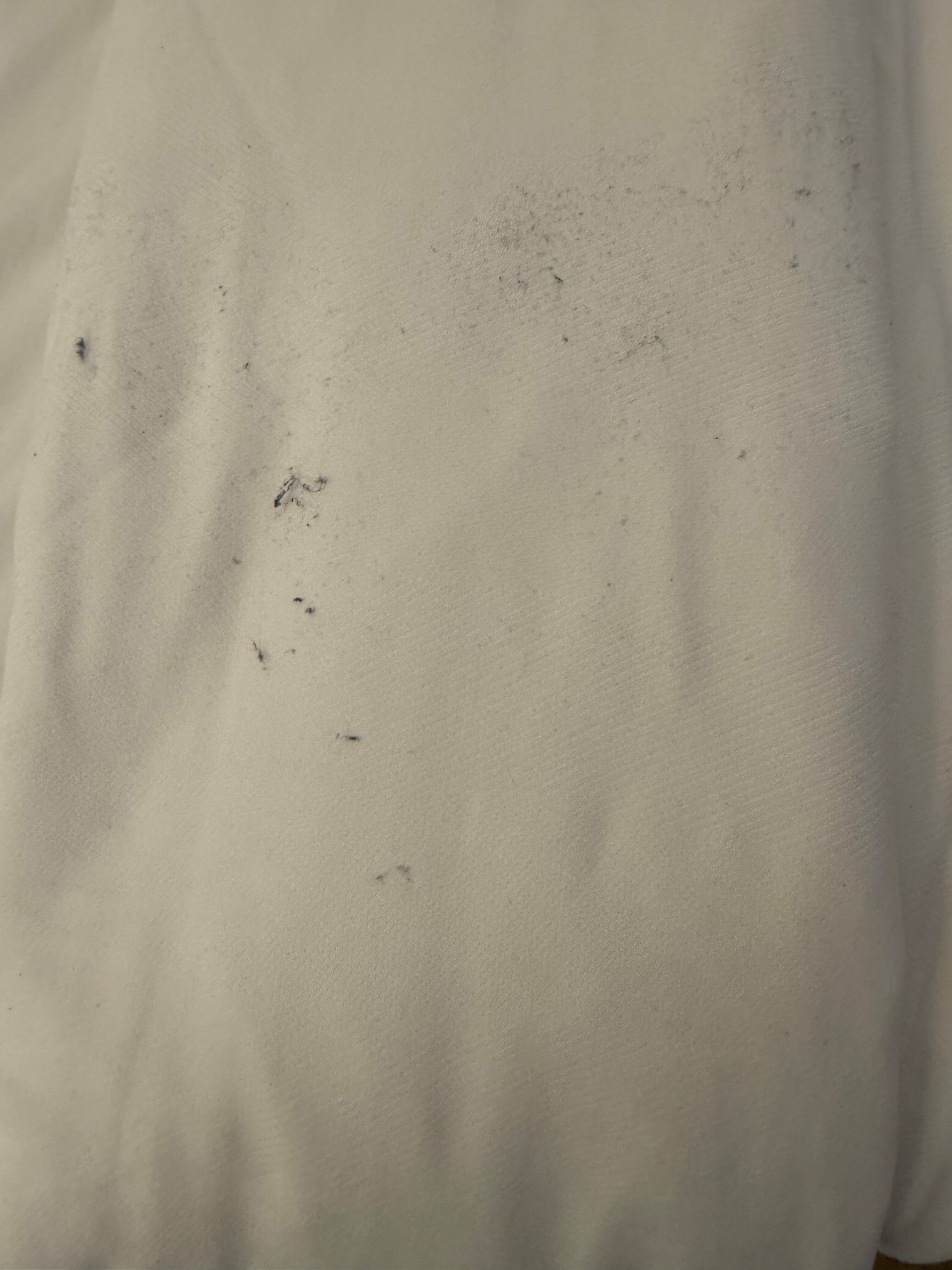 国会大厦塔拉哈西大学万豪AC酒店-官方