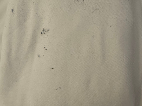 国会大厦塔拉哈西大学万豪AC酒店主图