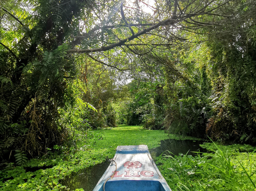 Mekong Experience Travel-芹苴必去景点