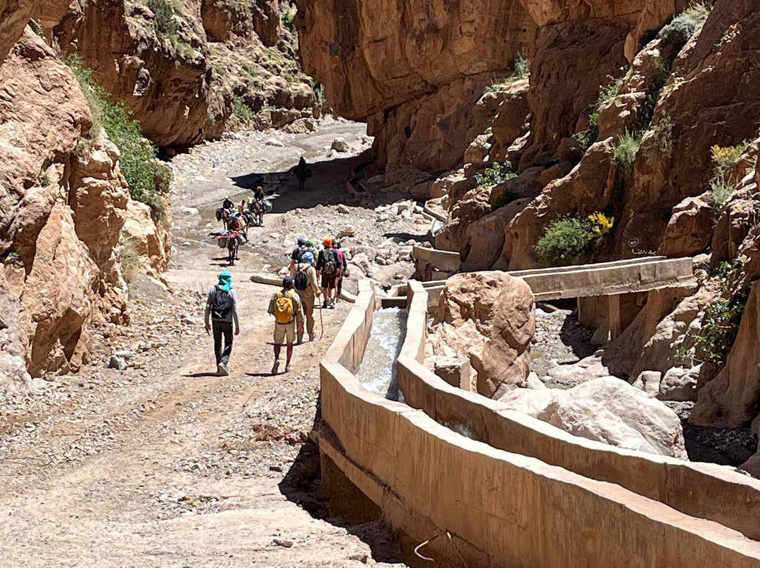 Caravane Renard du Desert-迈哈米德必去景点