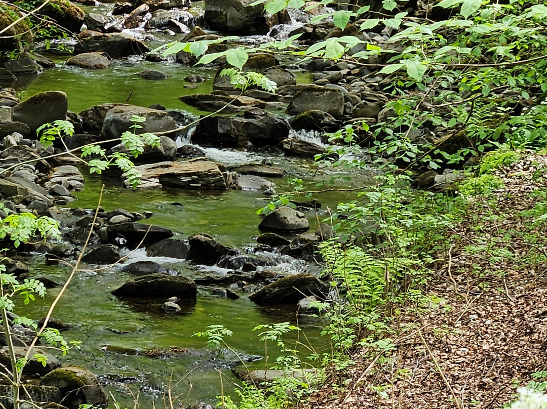 The Birks of Aberfeldy-Aberfeldy必去景点