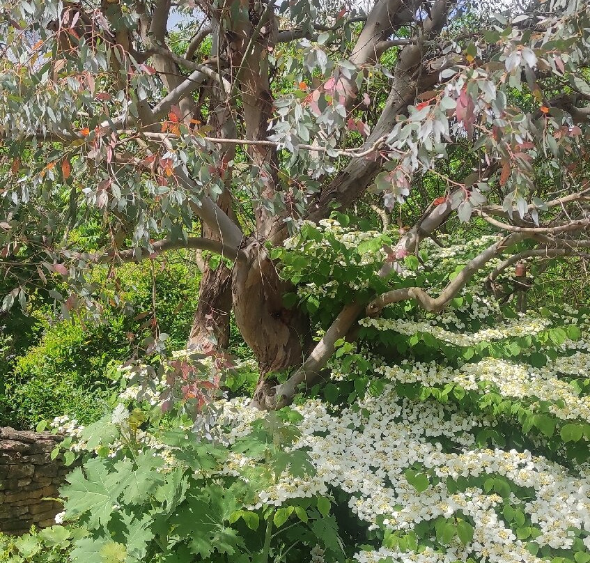 Jardins De La Rejonière-Ternand必去景点