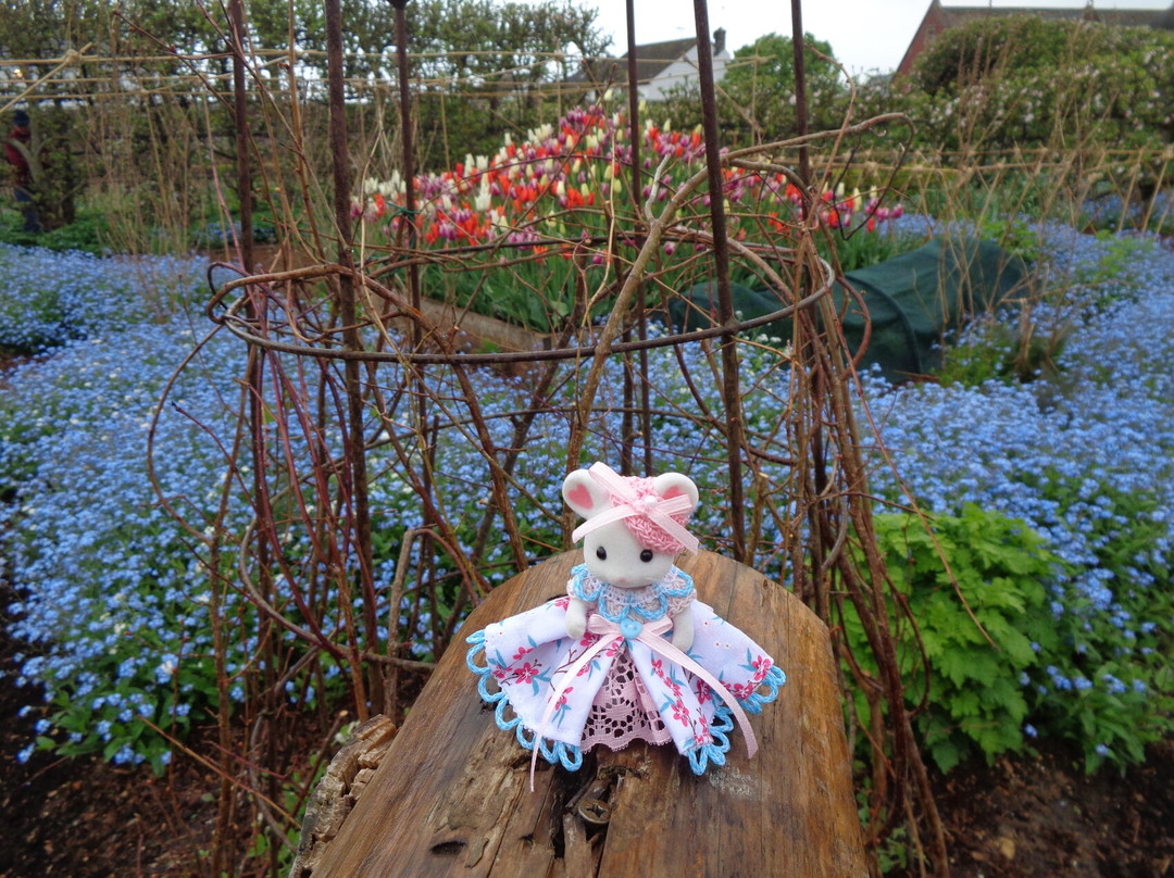 The Earl's Garden景点图片
