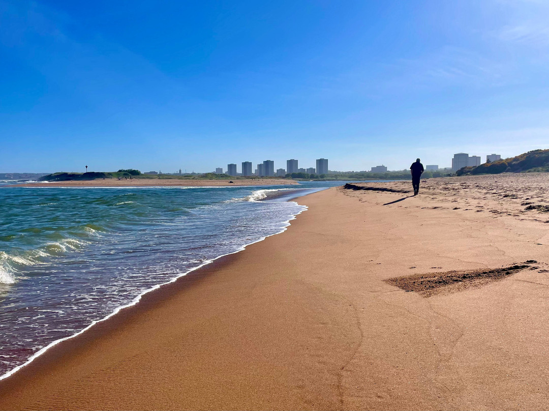 Donmouth Local Nature Reserve-阿伯丁必去景点