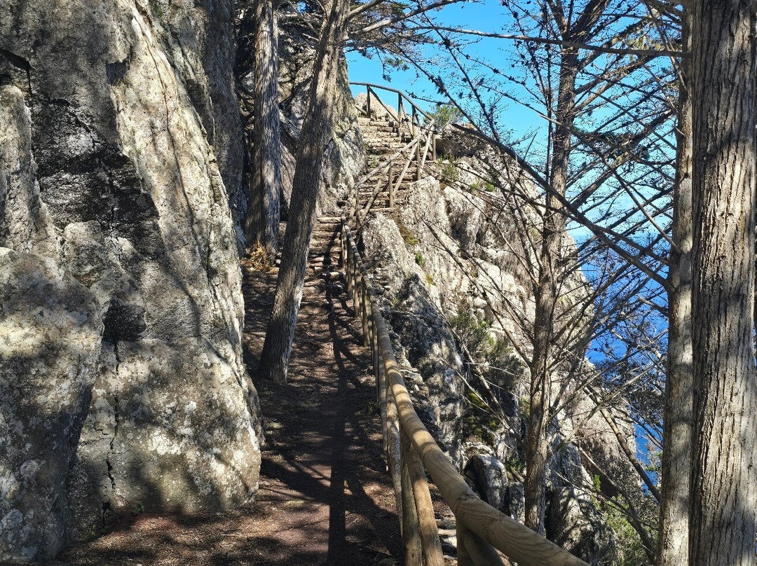 PS PR1 Vereda Pico Branco and Terra Chã-Porto Santo Island必去景点