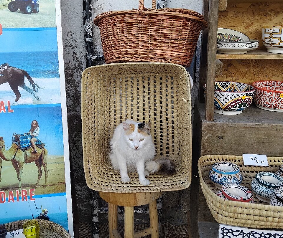 Le Souk Essaouira-索维拉必去景点