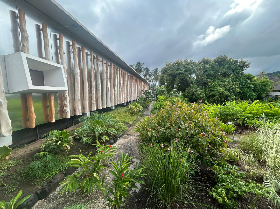 Te Fare Iamanaha-Musée De Tahiti Et Des Îles景点图片