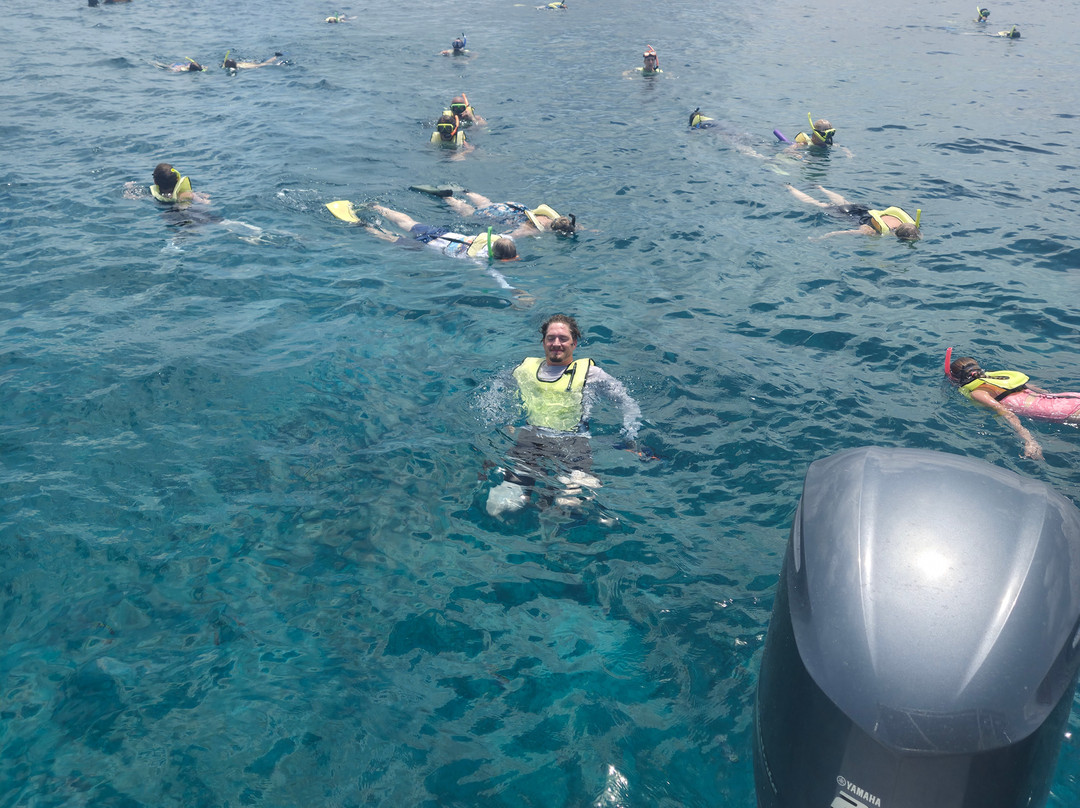 Chukka Caribbean Adventures-Grand Turk必去景点