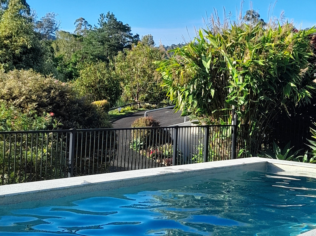 A View of Mount Warning Bed & Breakfast主图