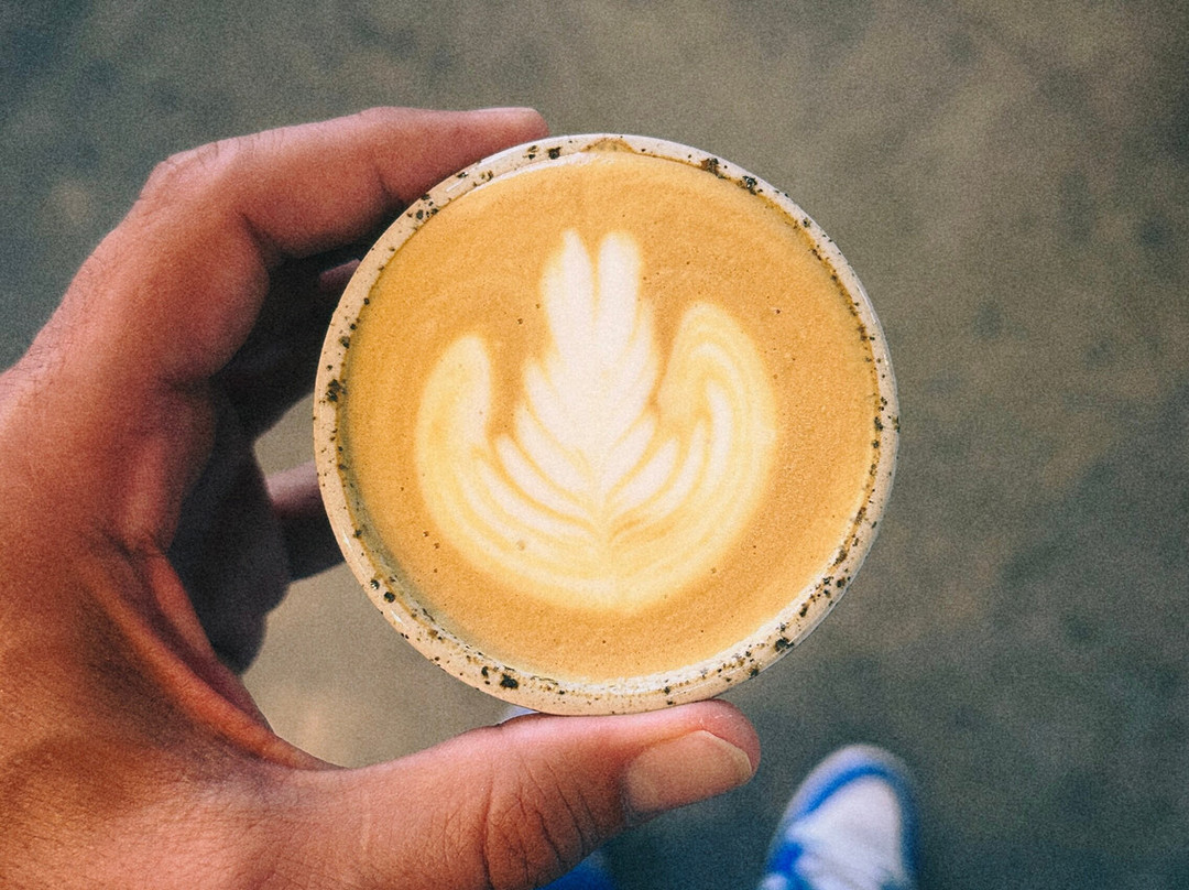 Mtc More Than Coffee