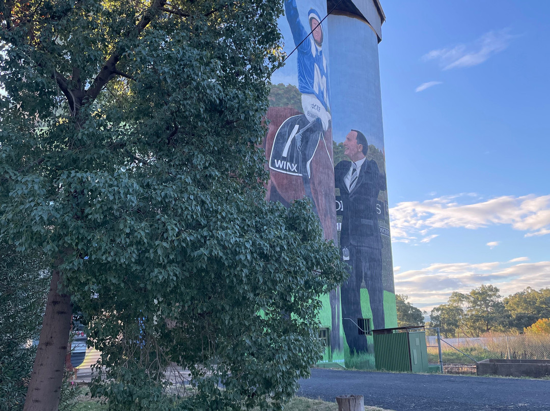 Silo Art Dunedoo-Dunedoo必去景点
