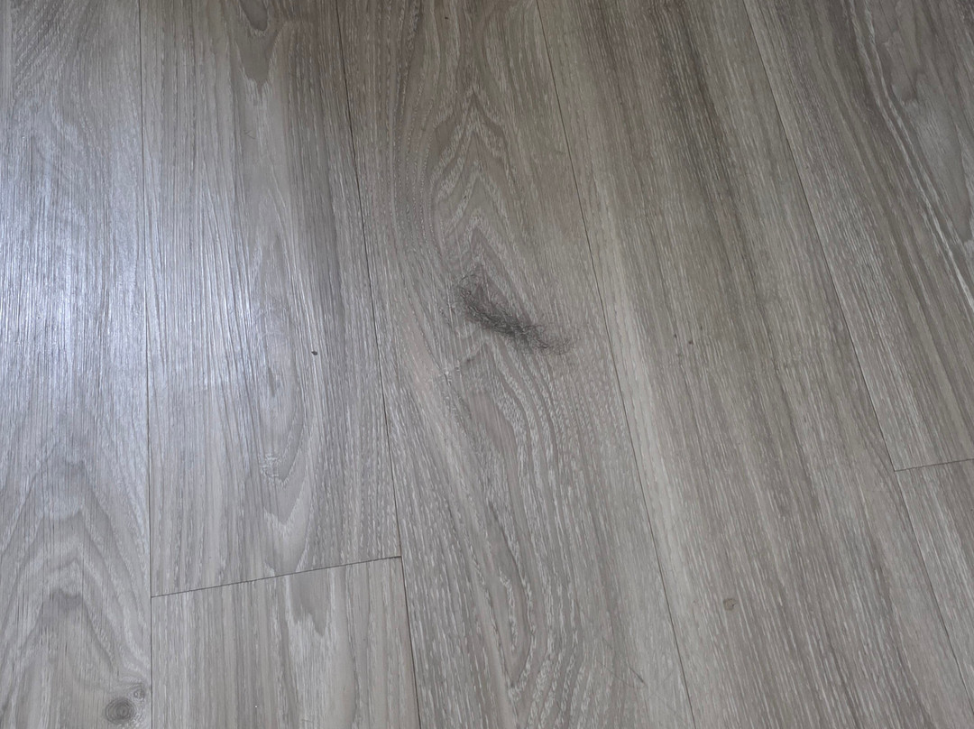 SureStay Plus By Best Western Sevierville主图