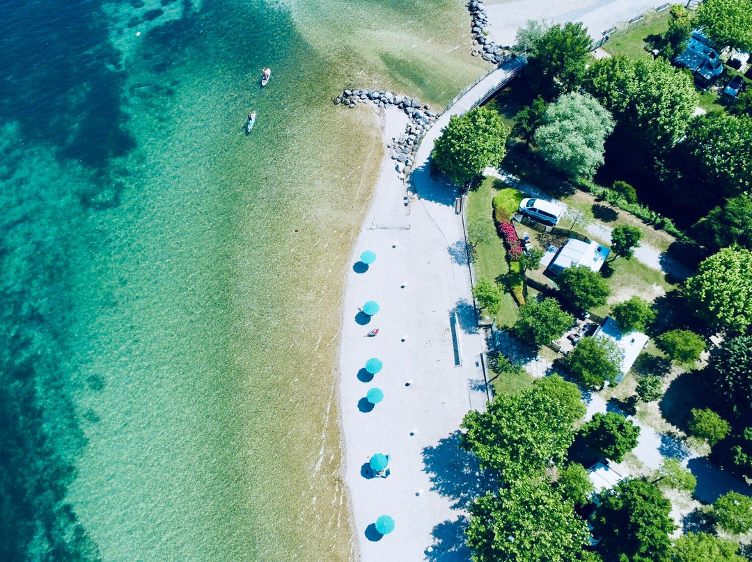 FidoBeach - Spiaggia per cani Manerba景点图片