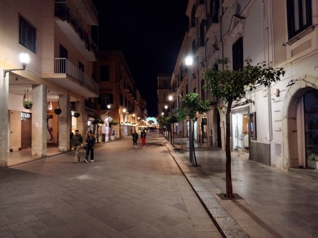 维多利亚麦欧瑞诺酒店主图