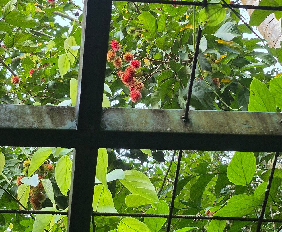 Softouch Ayurveda Village & Resort主图