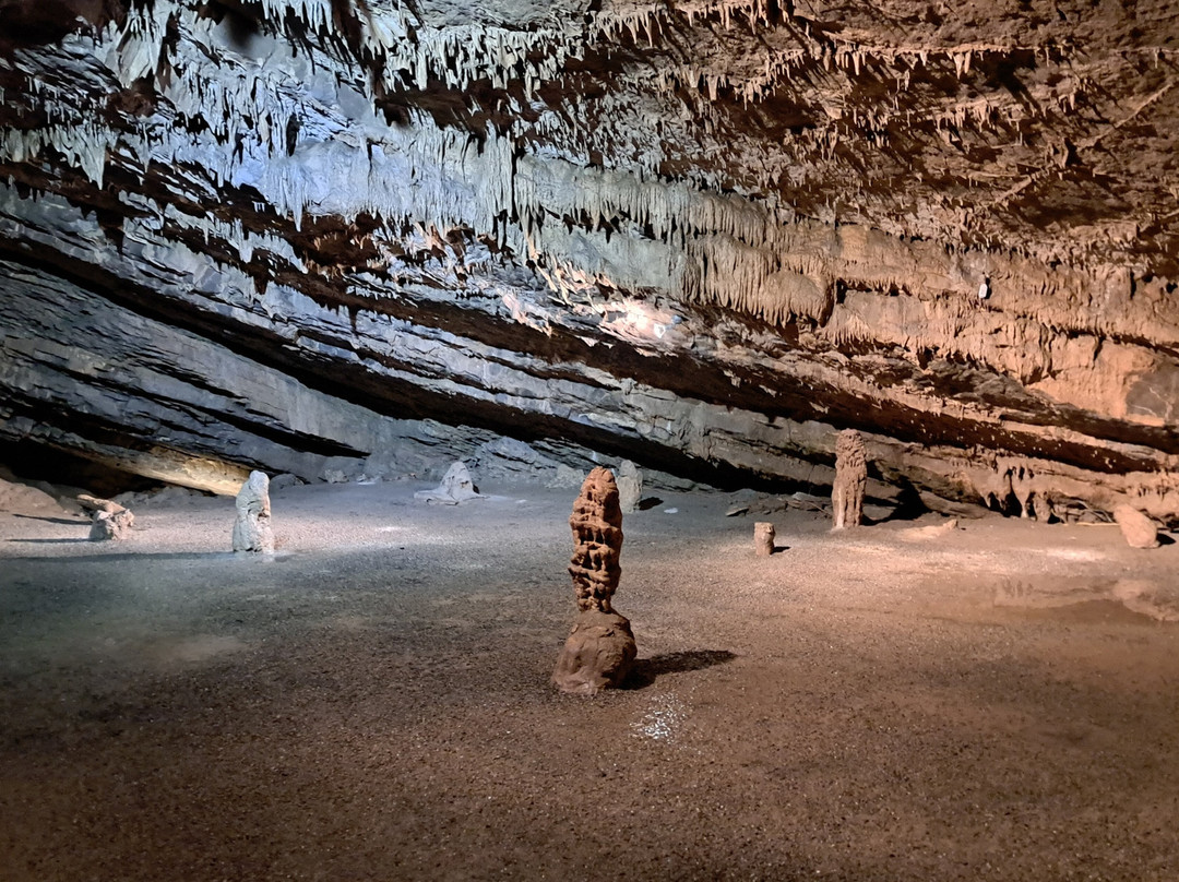 Woodward Cave and Campground景点图片