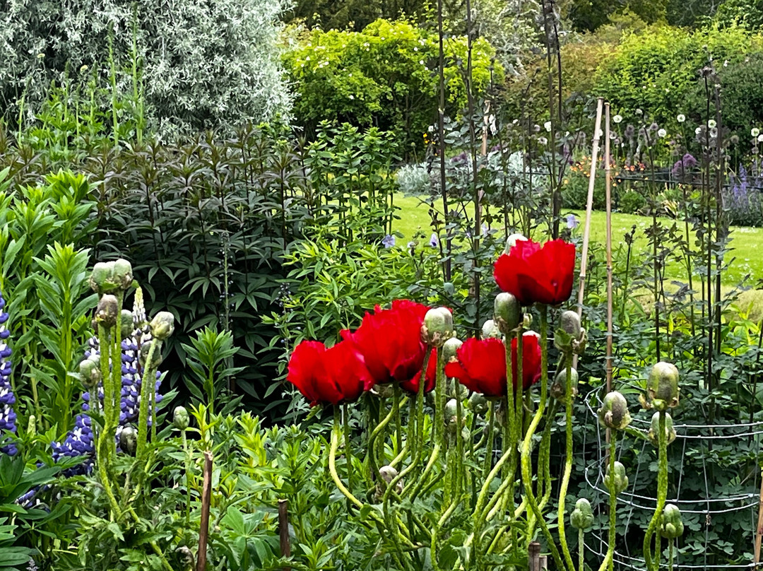 Inverness Taxis-因弗内斯必去景点