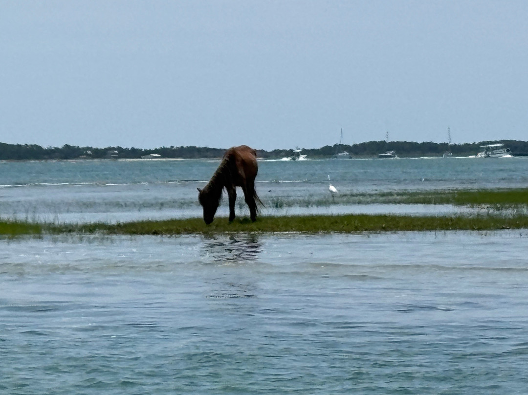 Crystal Coast Ecotours景点图片