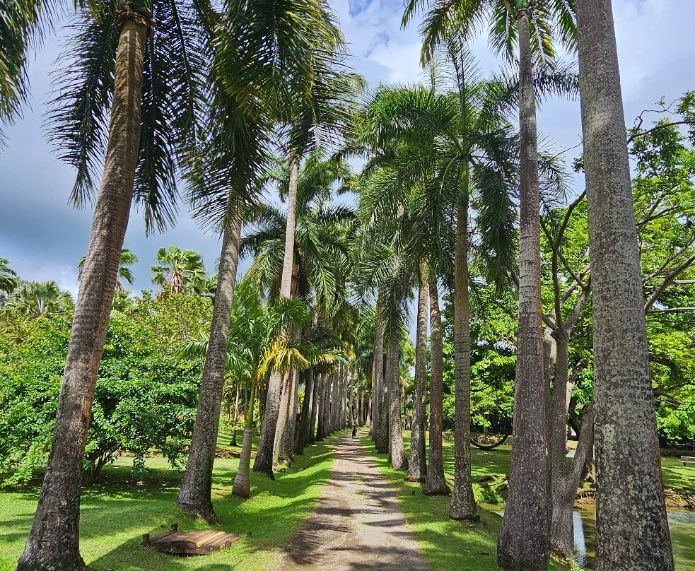 Habitation Clement-Le Francois必去景点