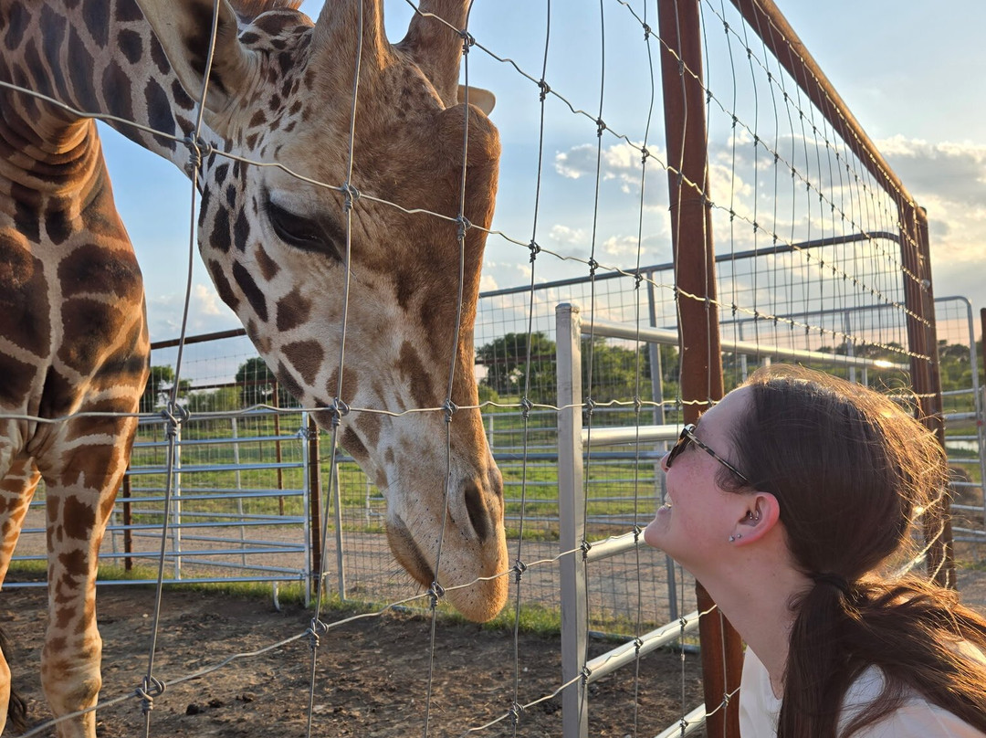 Blue Hills Ranch主图