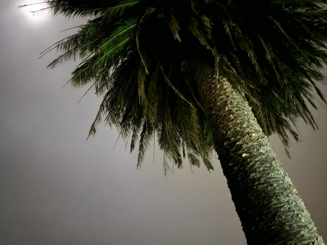 Aradale Ghost Tour - Eerie Tours-亚拉拉特山必去景点