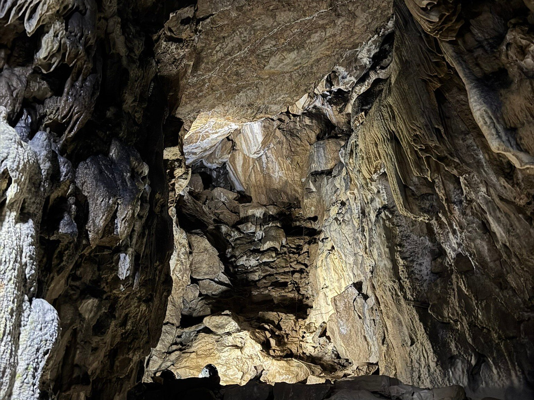 Poole's Cavern & Buxton Country Park景点图片