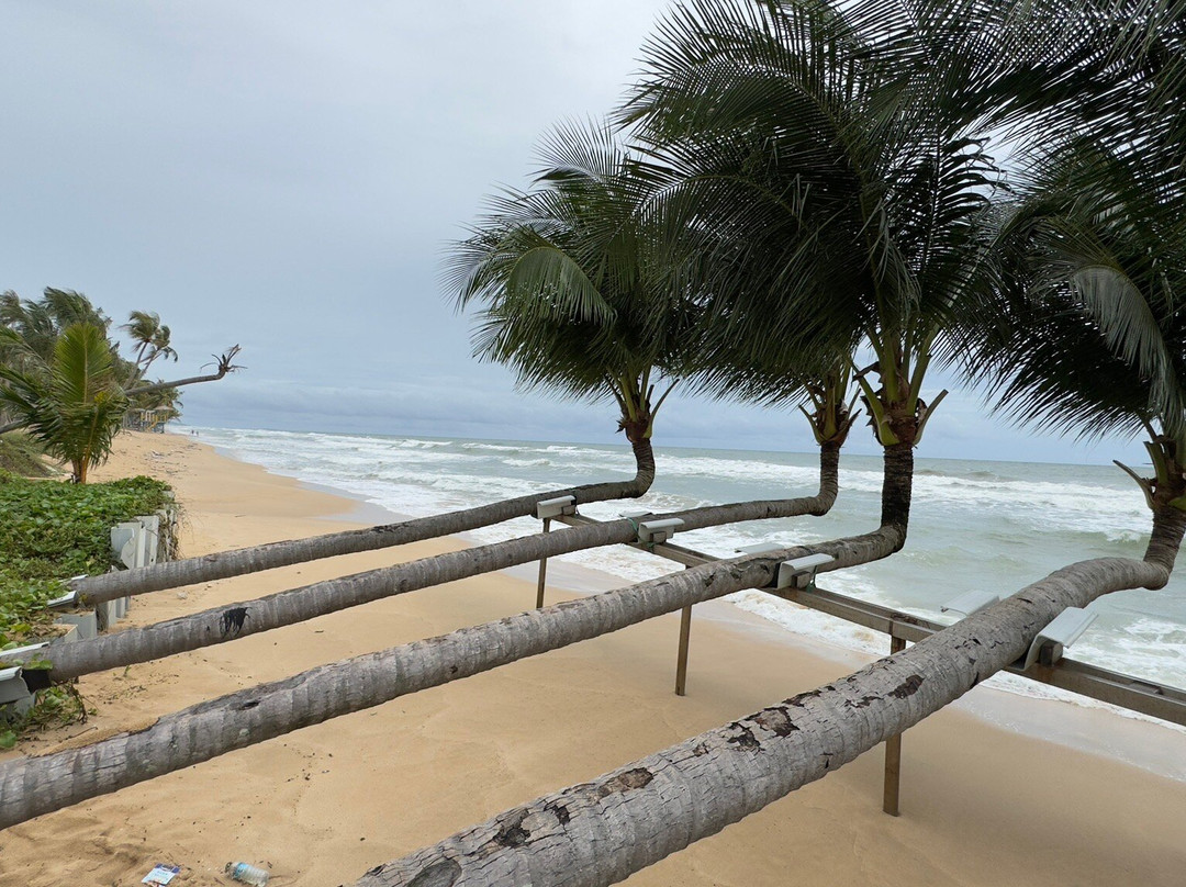 Phu Quoc Tropical - driver and English speaking guide-富国岛必去景点