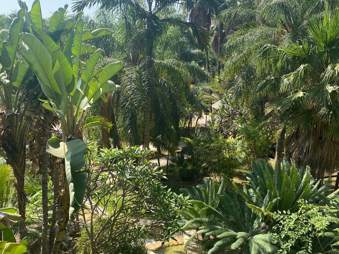 Jardin Botanico Molino de Inca景点图片