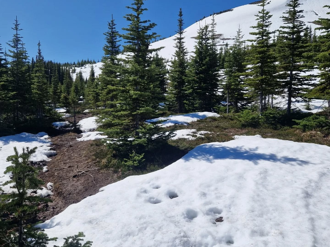 Bald Hills-贾斯珀必去景点