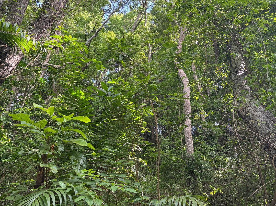 Walkers Reserve-布里奇顿必去景点