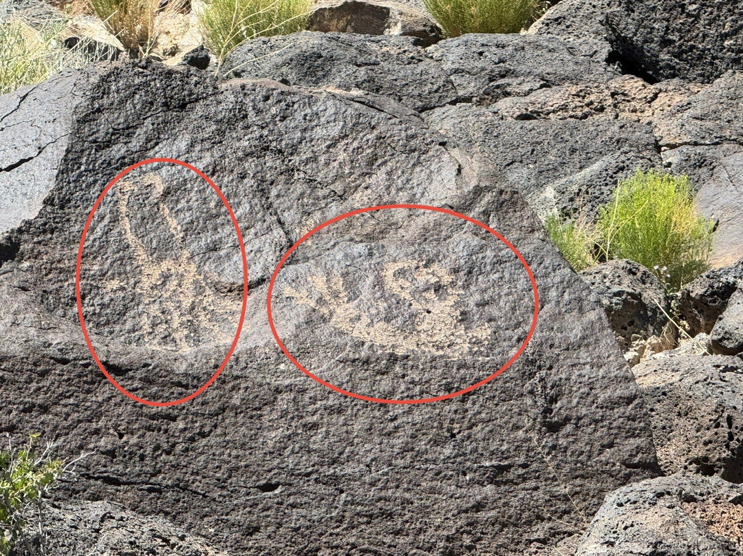 Petroglyph National Monument-阿尔伯克基必去景点