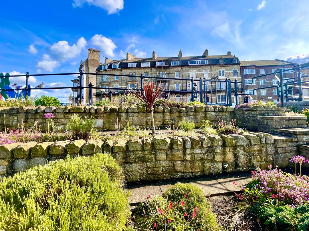 Saltburn Fossil Garden-Loftus必去景点